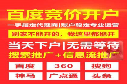 顶级SEM服务公司案例解析