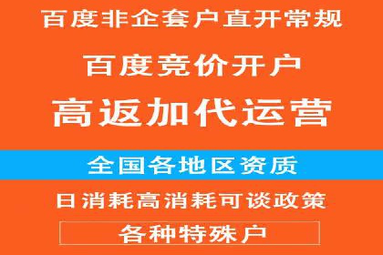 某品牌SEM推广策略的成效与启示